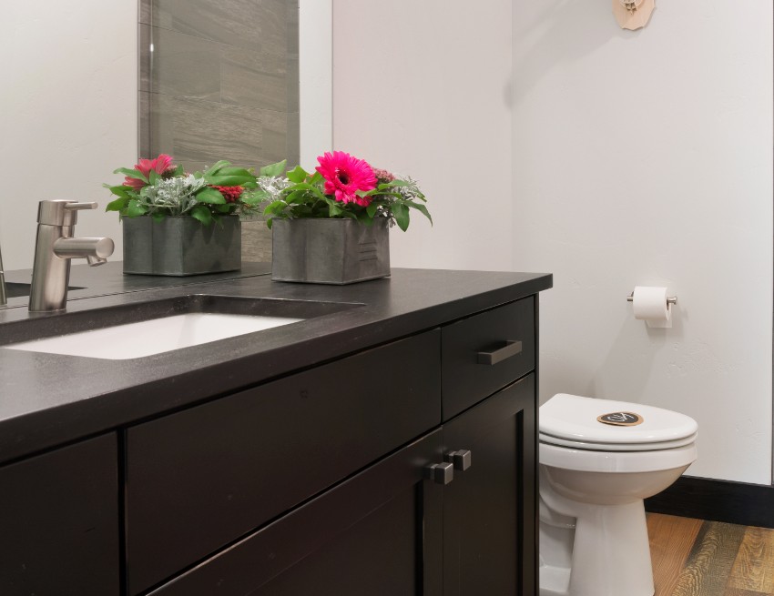 Simple bathroom features a dark wengue vanity cabinet topped with absolute black granite counter