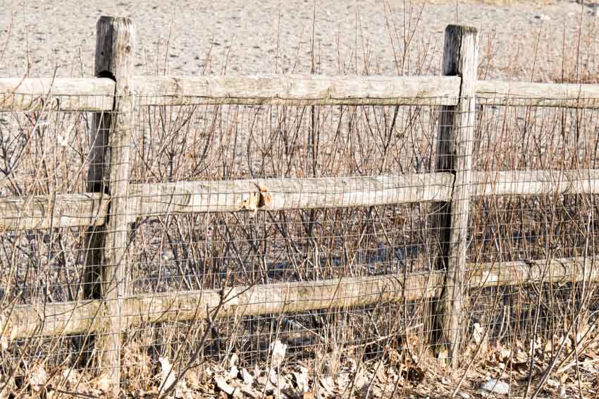 Split rail fence with wire mesh on sandy ground