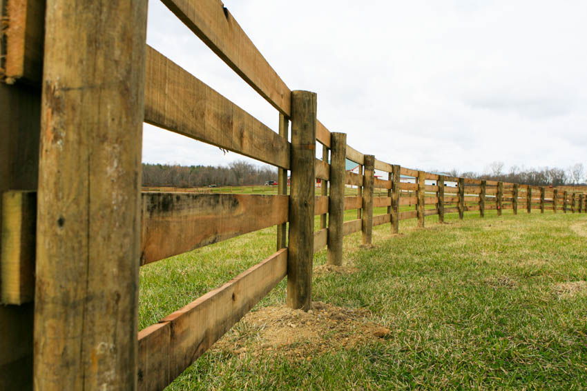 Split rail fences made of wood