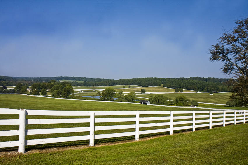 Split rail fences painted white for outdoor areas