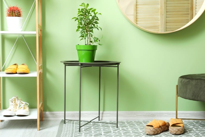Stylish interior of modern hallway with lime green walls and some accessories