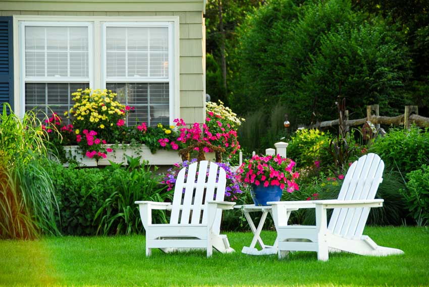 White adirondack chairs and side table on grass near hedge plants and flowers