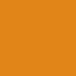 Benjamin Moore Autumn Orange (2156-10)