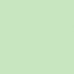 Pastel Green (548)