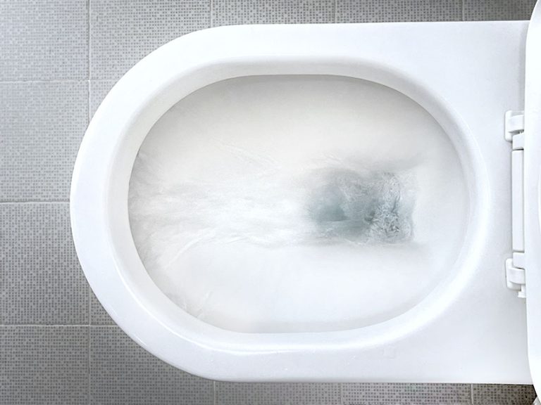 Low Flow Toilet Pros And Cons