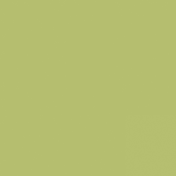 PPG Lime Green