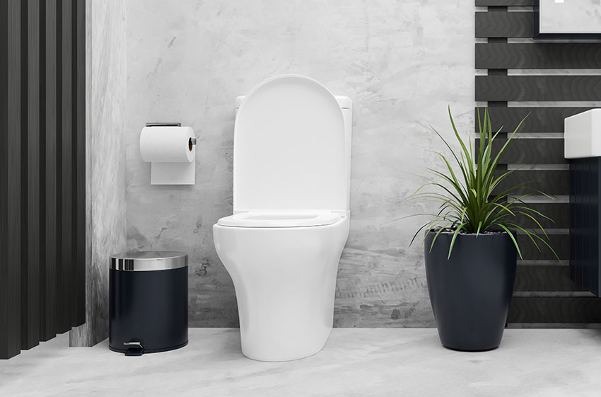 Toilet with trash bin toilet paper holder indoor plant