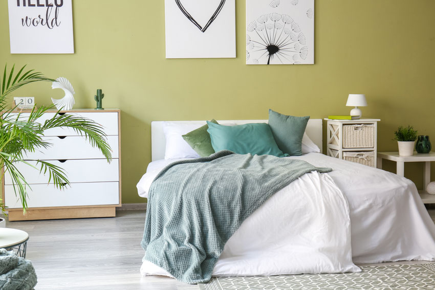 Bedroom with avocado green wall, pillows, comforter, dresser table, indoor plant, and pillows
