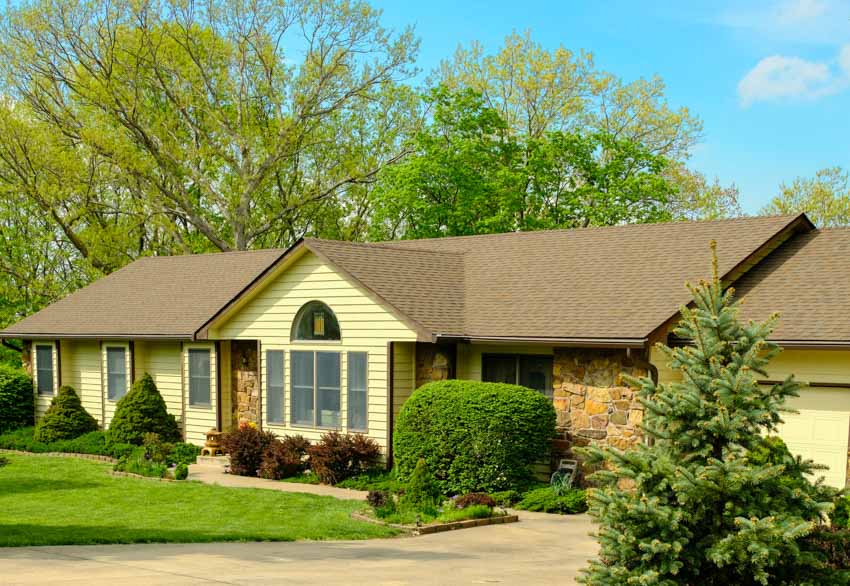 Bungalow ranch with siding, windows, roof, and plants