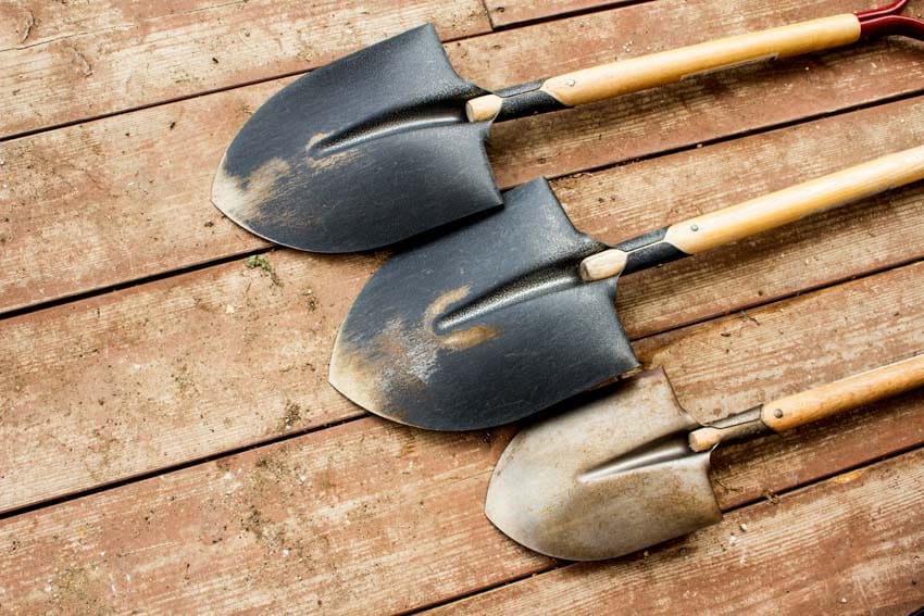 Different types of shovels on wood floor
