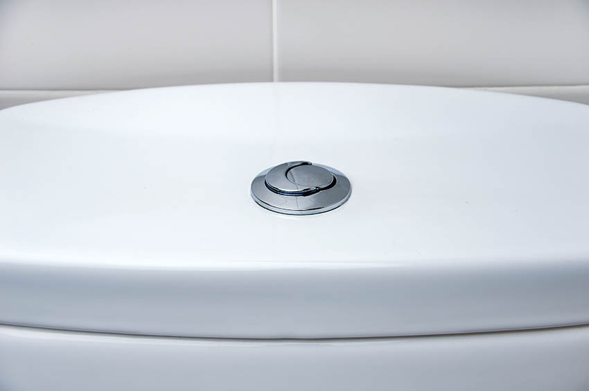 Dual flush toilet buttons