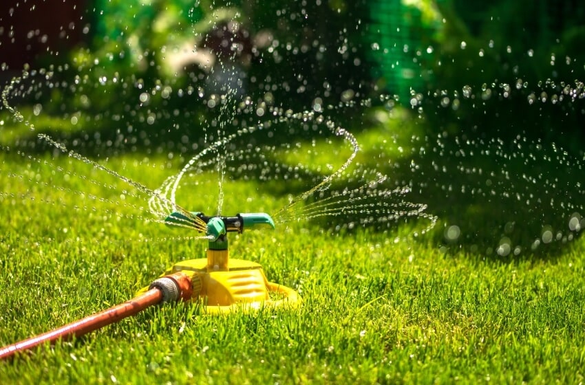 Garden hose and sprinkler watering the garden