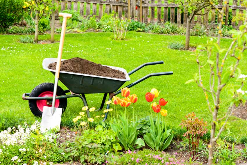 Garden with shovel wheel barrow, flowers, plants, and fence