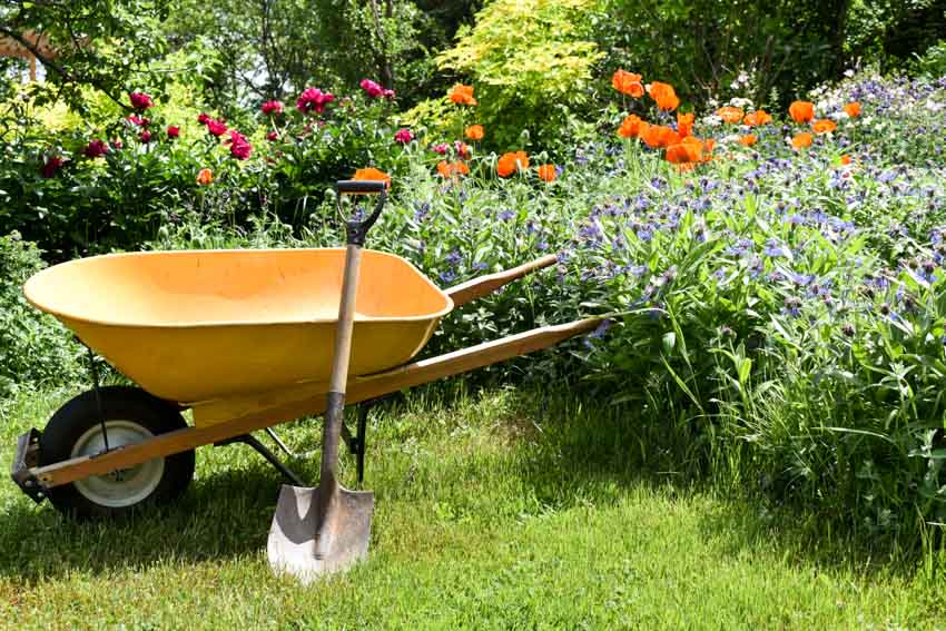 Garden with wheel barrow and round digging shovel