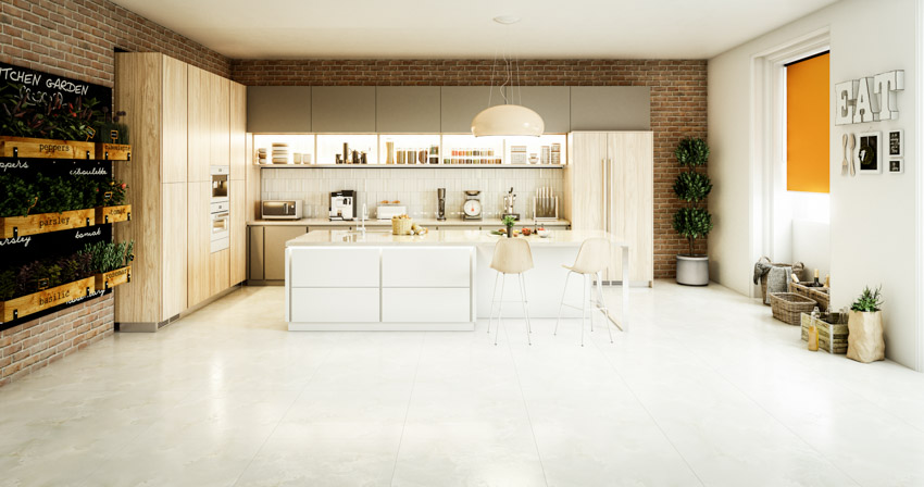 Kitchen with island, shelves, countertop, hanging light and indoor plants