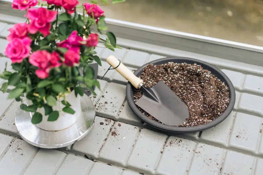Outdoor area with hand shovel and potted flower