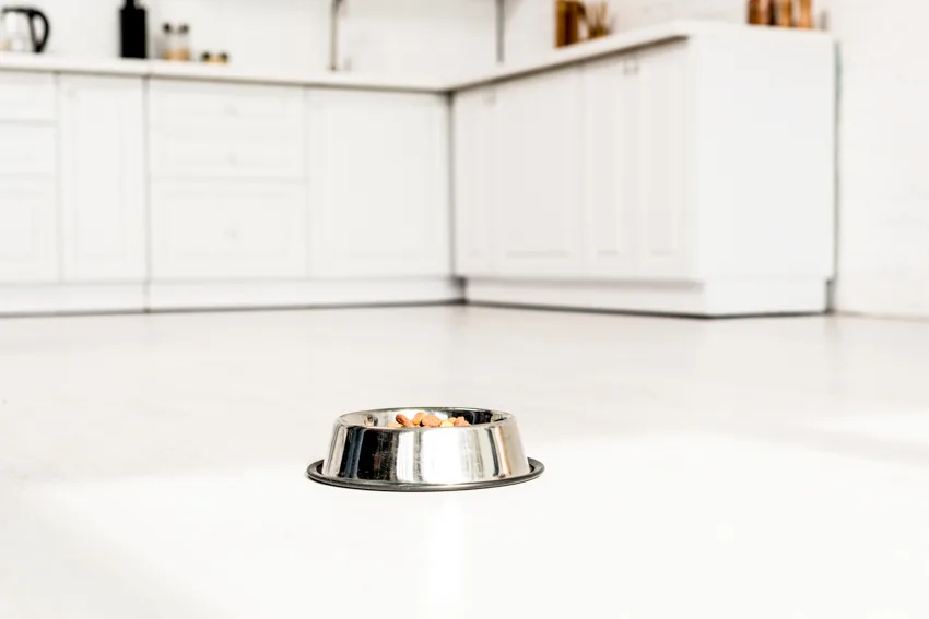 Pet bowl made of stainless steel