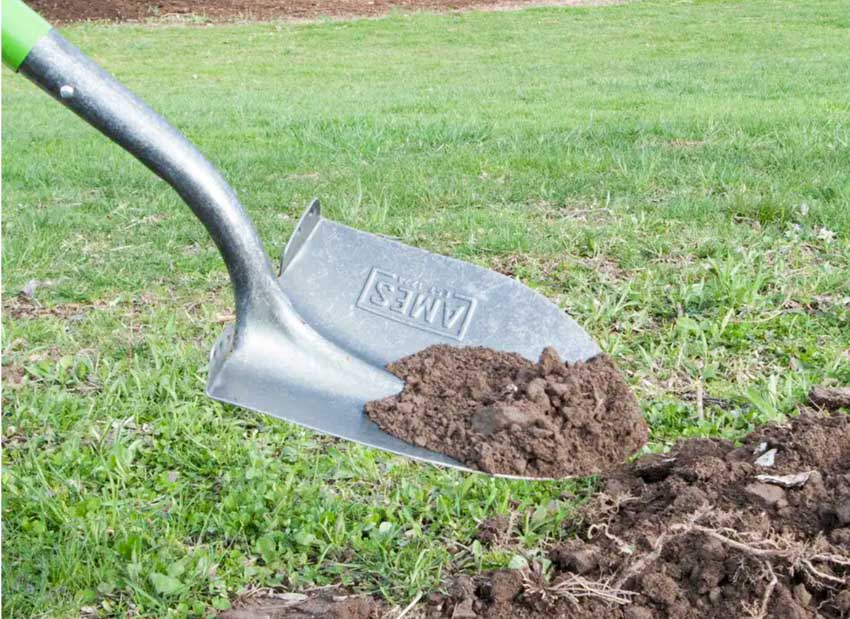 Pointed digging shovel for gardens and outdoor areas