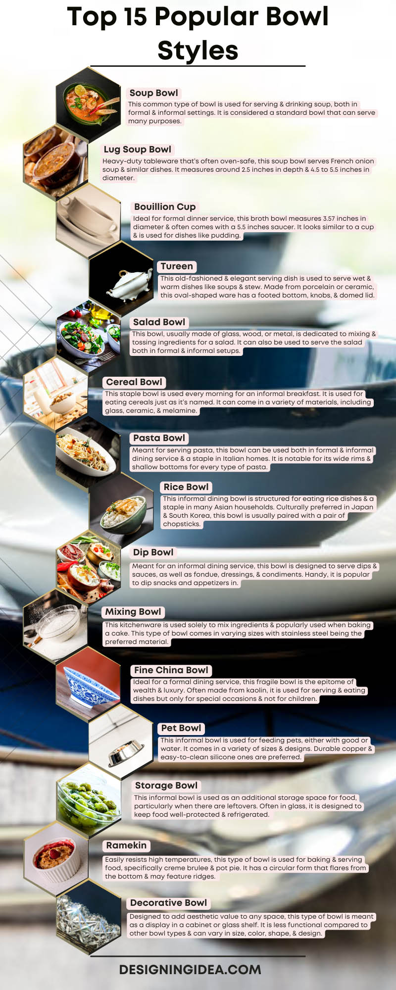 Top 15 Popular Bowl Styles Infographic