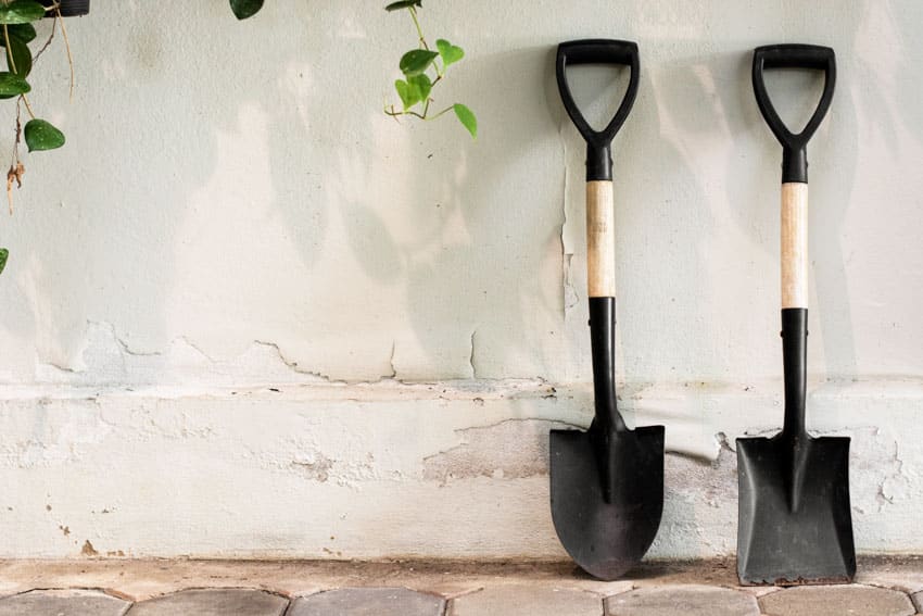 Two shovels on a wall for gardens and outdoor areas