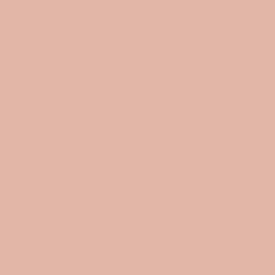 Smoky Salmon (6331) color