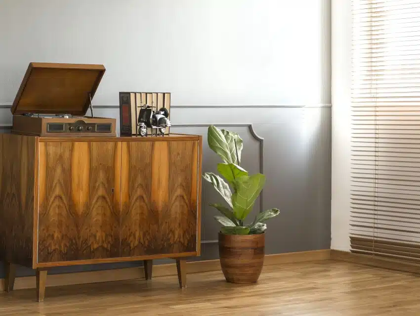 Acacia wood cabinet next to plant against grey wall in minimal retro flat interior with blinds
