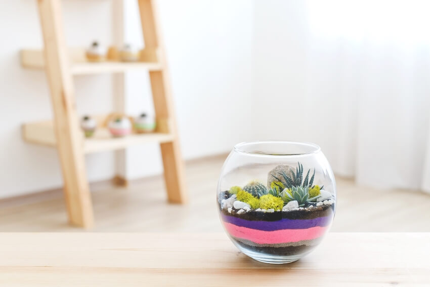 Colorful sand as fillers of a glass florarium vase with succulents on a wooden table