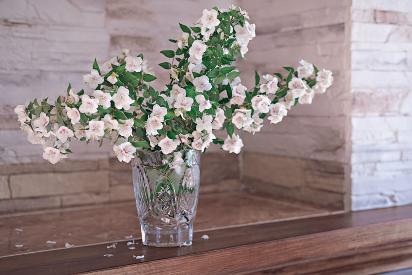 Crystal vase with white flowers