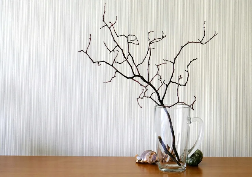 Dry tree branch in a pitcher vase 