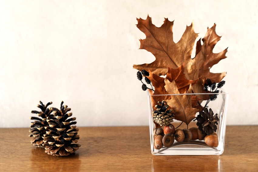 Fall vase filler like dry leaves and acorns in a glass vase, and two cones on wooden table