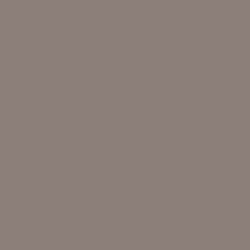 Poised Taupe 232-C5