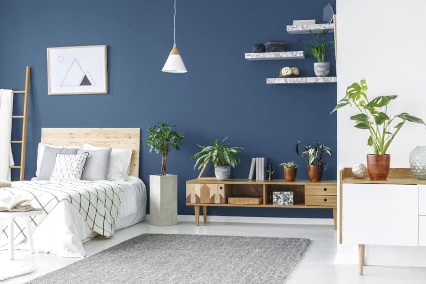 Wooden cabinet with plants and a king size bed in a navy blue and white bedroom interior