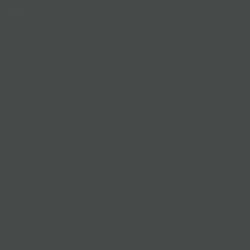 Benjamin Moore Graphite (1603)