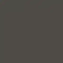Valspar Ebony Field (4004-2C)