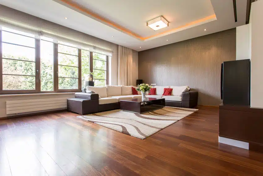 Room with wood panel floors, windowa and dark violet sofa and white cushions
