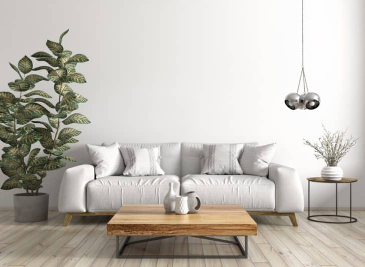 Apple Wood Furniture (Uses, Hardness & Designs)