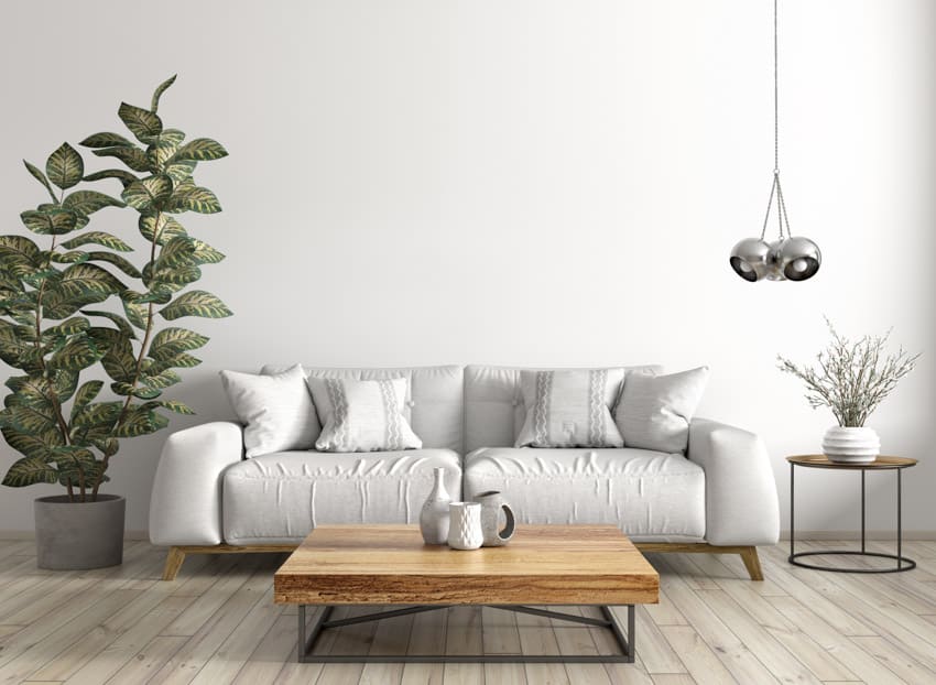 Minimalist living room with apple wood coffee table, couch, side table, and indoor plant