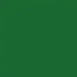 Benjamin Moore Seaweed (2035-10)
