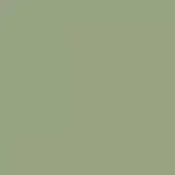 Farrow and Ball Lichen (19)