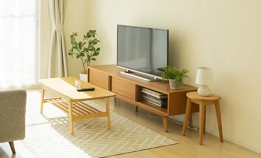Living area with coffee table modern TV table indoor plants rug beige paint