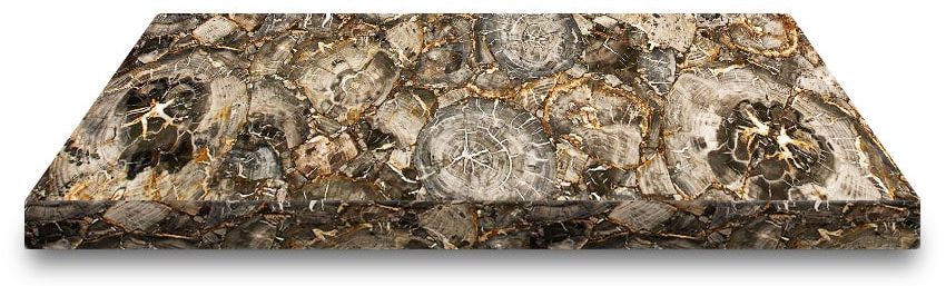 Petrified wood countertop slab