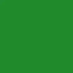 Ralph Lauren Key West Green (RLIB215)