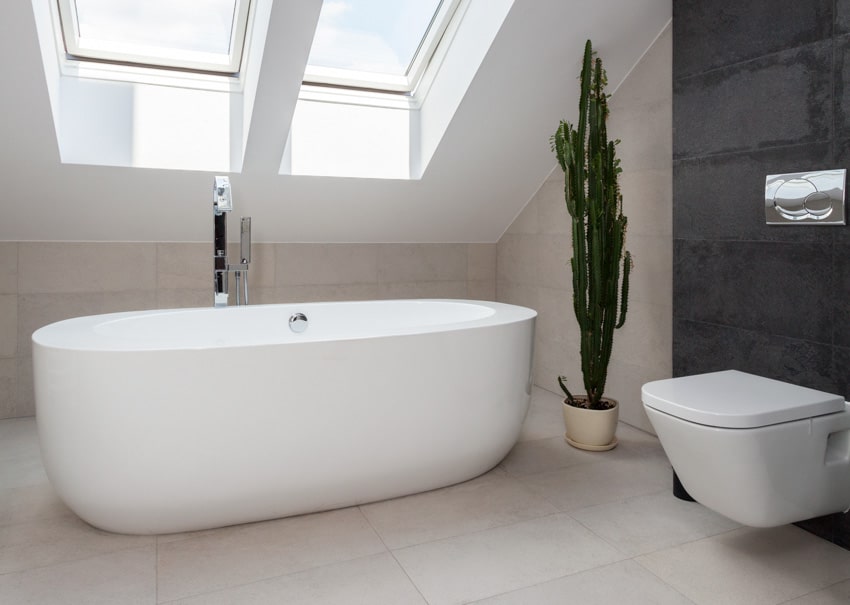 Attic bathroom with skylight window, tub, toilet, indoor plant, and bathtub faucet with sprayer