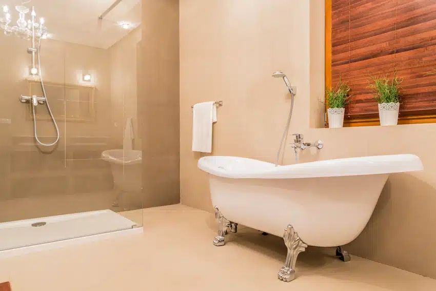 Bathroom with shower area, glass door, freestanding tub, and clawfoot tub feet