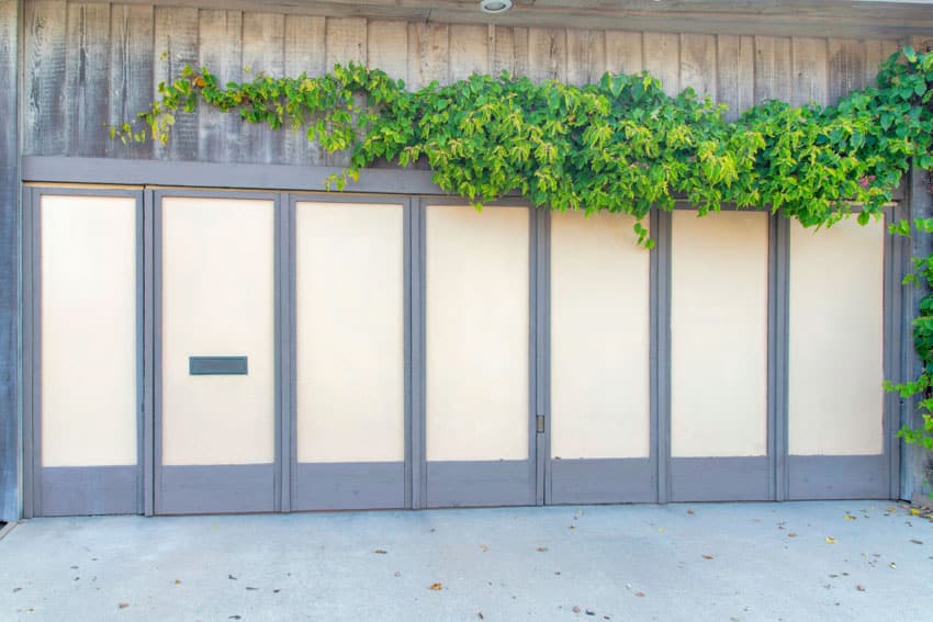 House exterior with horizontal doors and hanging plants