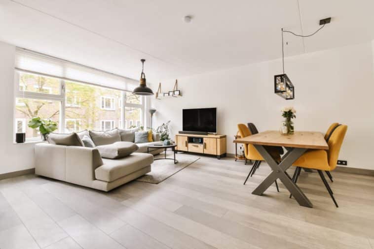 The Timeless Appeal Of Birch Wood Furniture Uses, Colors & Durability