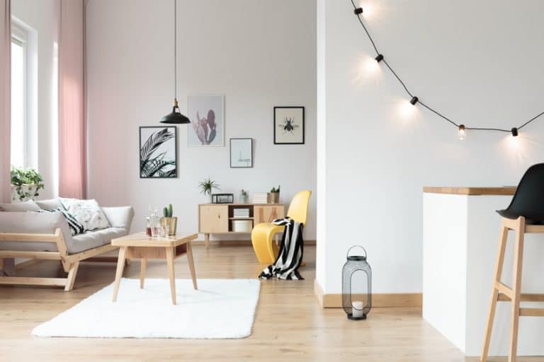 The Timeless Appeal Of Birch Wood Furniture Uses, Colors & Durability