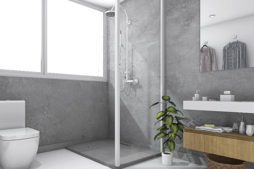 Bathroom with shower pan made of slate, indoor plant and white toilet