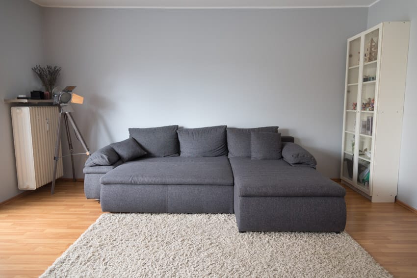 Studio apartment with modular sofa, shelf, floor lamp, rug, and wood flooring