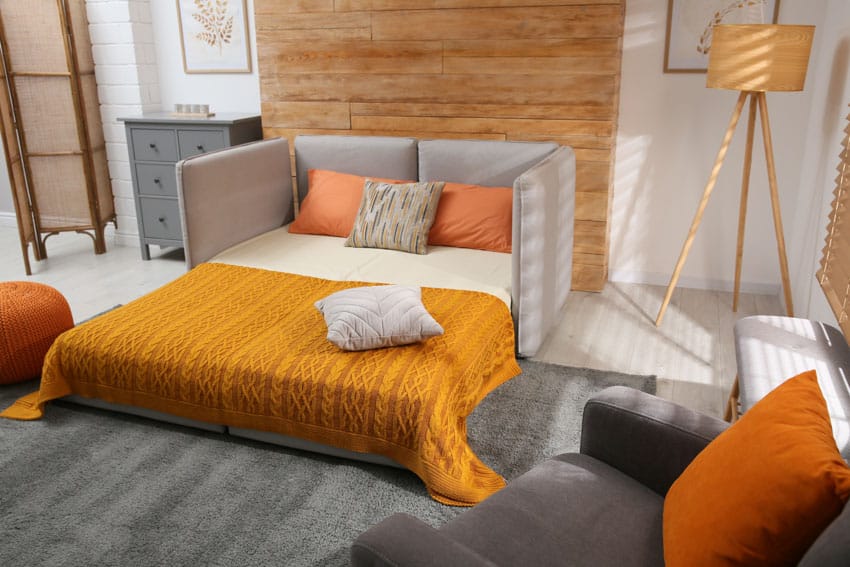 Studio apartment with multi-purpose sofa, carpet flooring, wood accent wall, and floor lamp